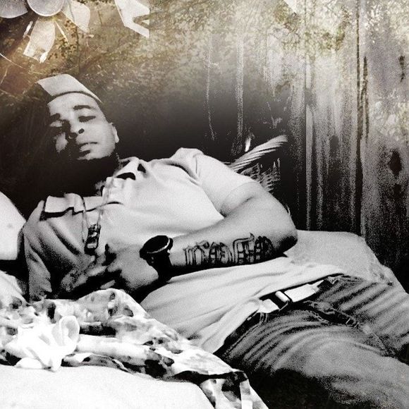 Meet your Posher, Lareon - Picture 1 of 1